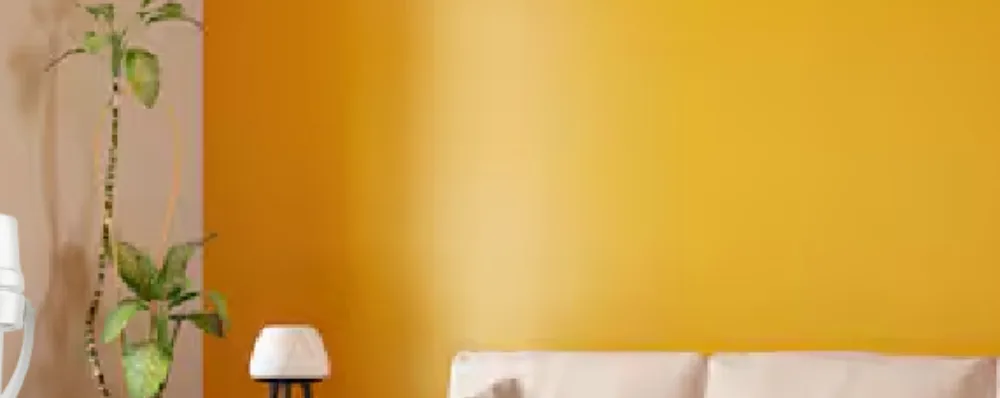 مساحات داخلية